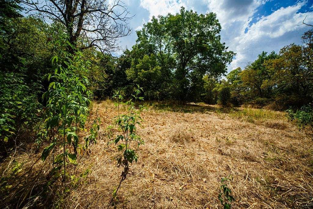 0.33 Acres of Land for Sale in Terrell, Texas
