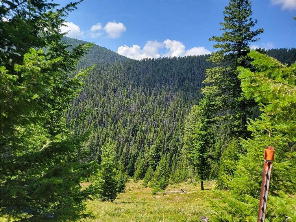 20.66 Acres of Recreational Land for Sale in Philipsburg, Montana