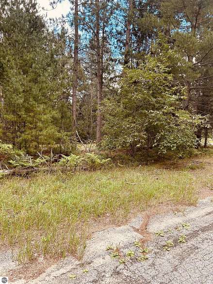 0.38 Acres of Residential Land for Sale in South Boardman, Michigan