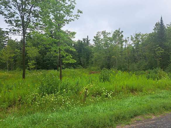30.1 Acres of Recreational Land for Sale in Remsen, New York