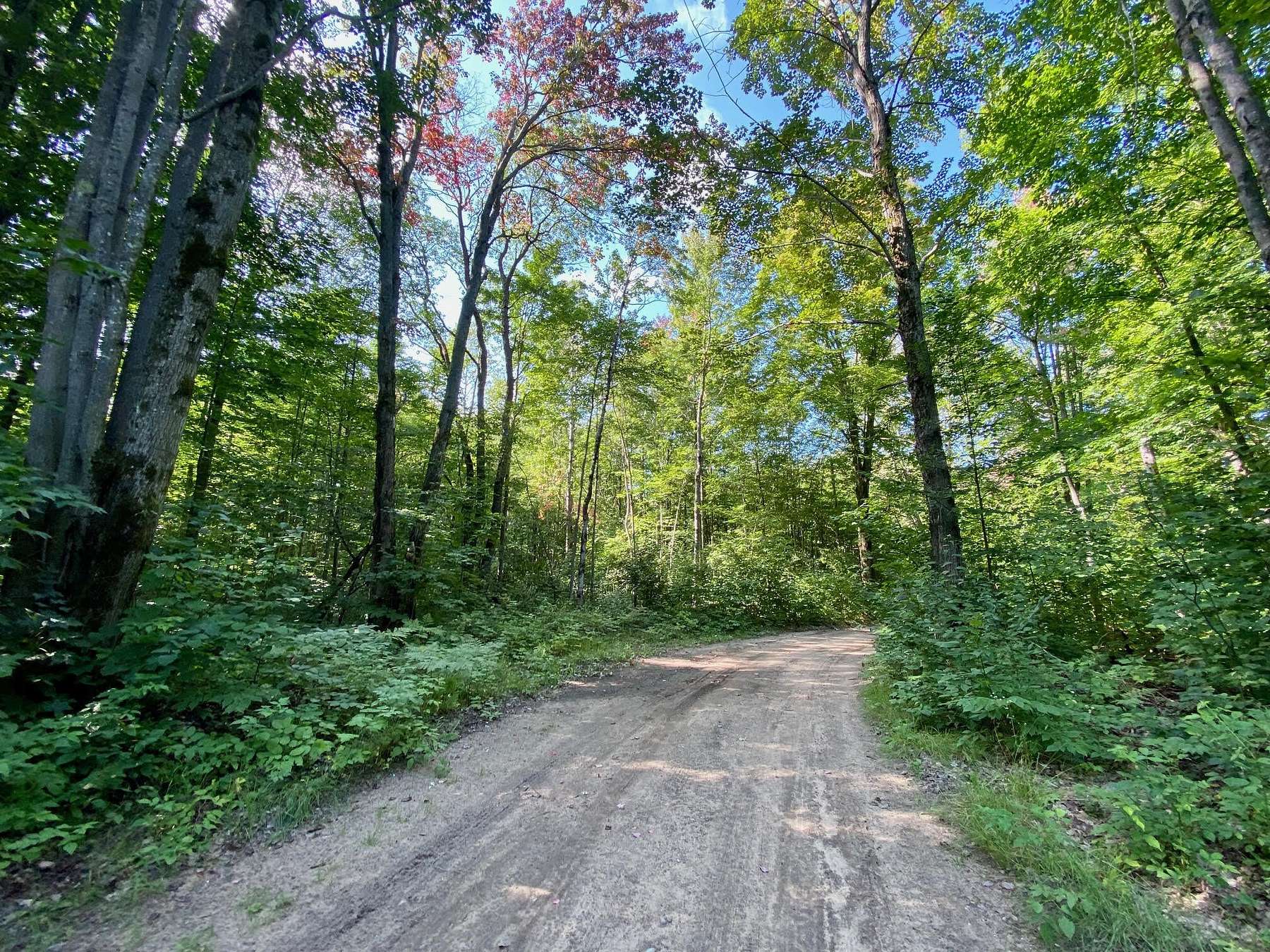 20.3 Acres of Recreational Land for Sale in Gaylord, Michigan