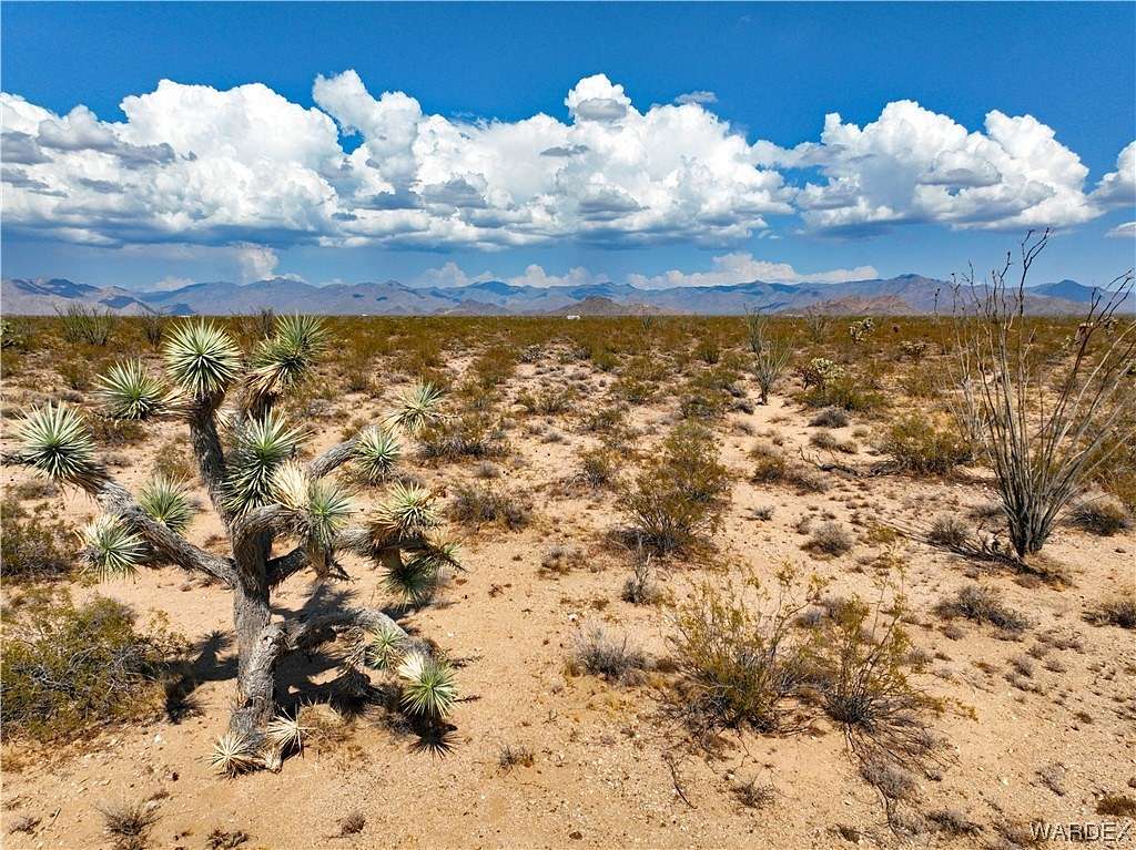 38.4 Acres of Agricultural Land for Sale in Yucca, Arizona