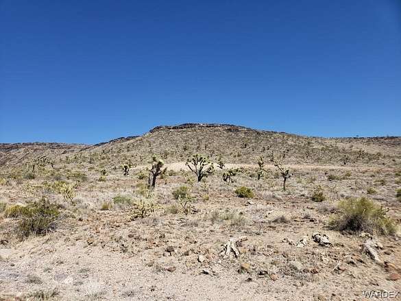 50 Acres of Recreational Land & Farm for Sale in White Hills, Arizona