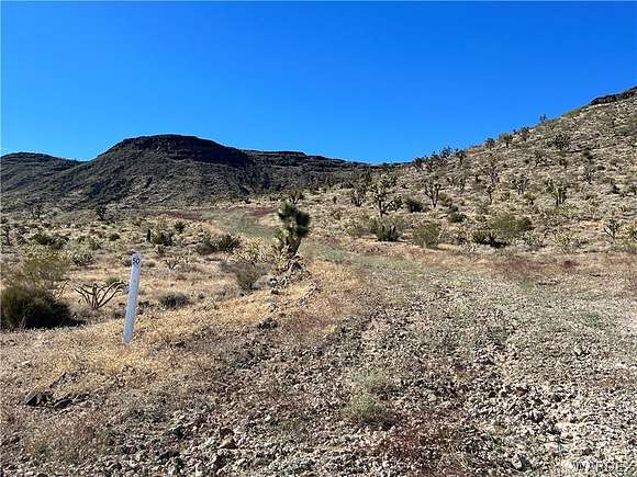 50 Acres of Recreational Land & Farm for Sale in White Hills, Arizona