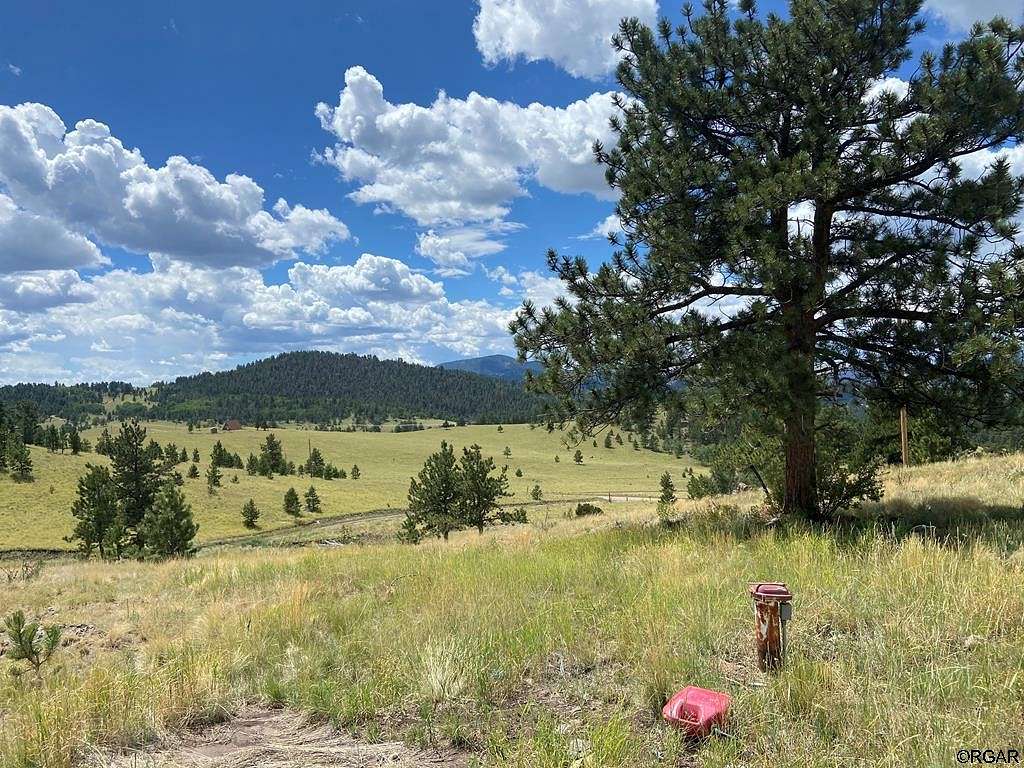 29.2 Acres of Land for Sale in Guffey, Colorado