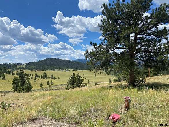 29.24 Acres of Land for Sale in Guffey, Colorado