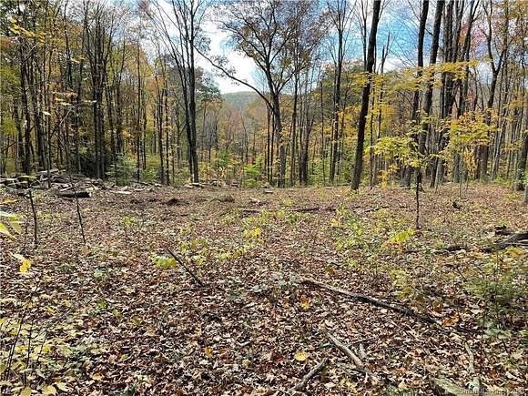 16.9 Acres of Recreational Land for Sale in Washington, Connecticut
