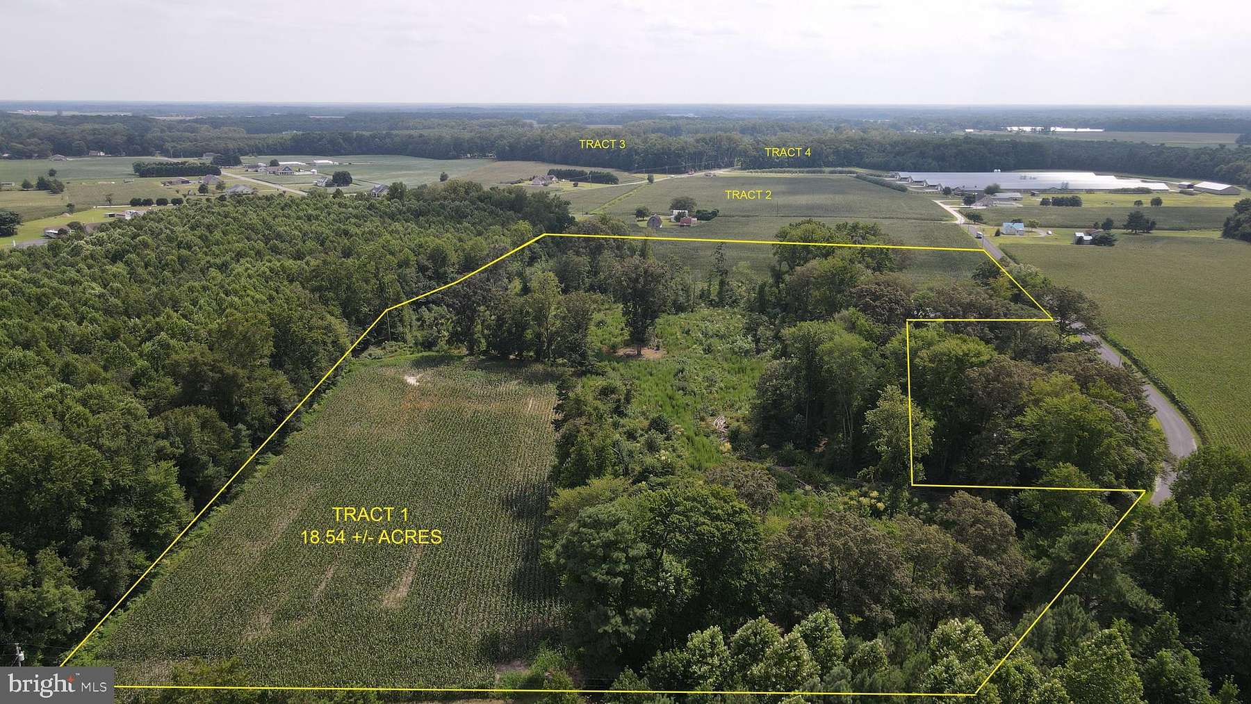 77.8 Acres of Land for Sale in Georgetown, Delaware