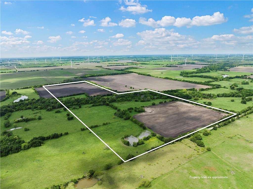 65.7 Acres of Recreational Land for Sale in Coolidge, Texas