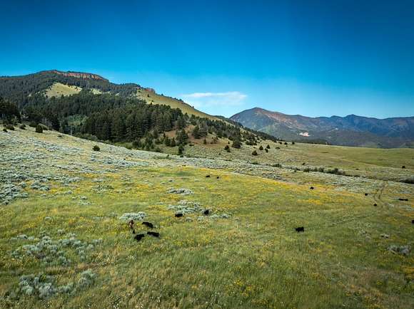 142 Acres of Recreational Land & Farm for Sale in Belgrade, Montana