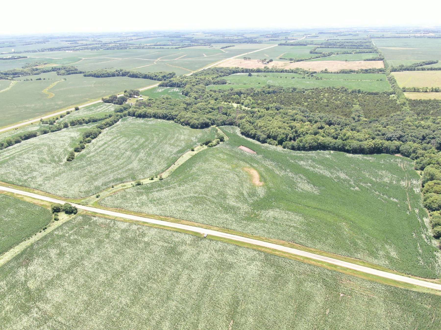 230 Acres of Agricultural Land for Sale in Dawson, Nebraska