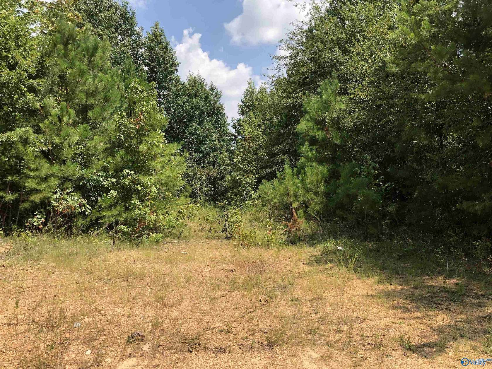 24 Acres of Land for Sale in Attalla, Alabama