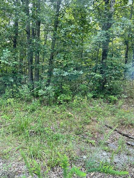 0.29 Acres of Residential Land for Sale in Crossville, Tennessee