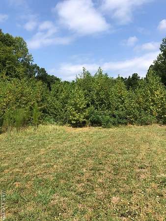 4.48 Acres of Residential Land for Sale in Buffalo Junction, Virginia