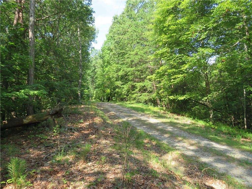 1.6 Acres of Residential Land for Sale in Ranger, Georgia
