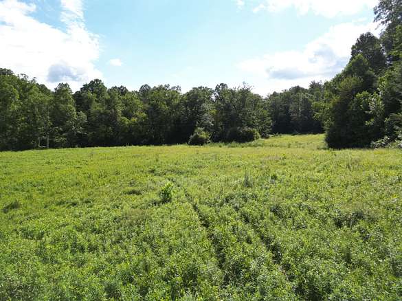 25 Acres of Recreational Land & Farm for Sale in East Bernstadt, Kentucky