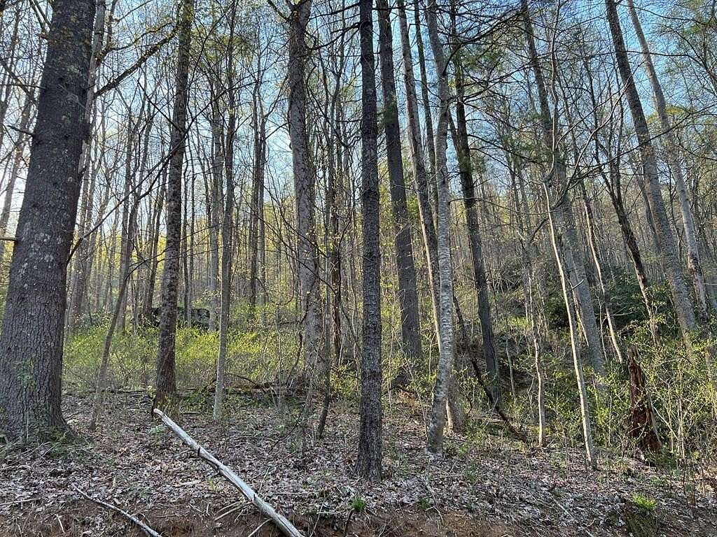 0.3 Acres of Land for Sale in Fancy Gap, Virginia