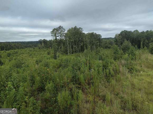 144 Acres of Recreational Land for Sale in Sparta, Georgia