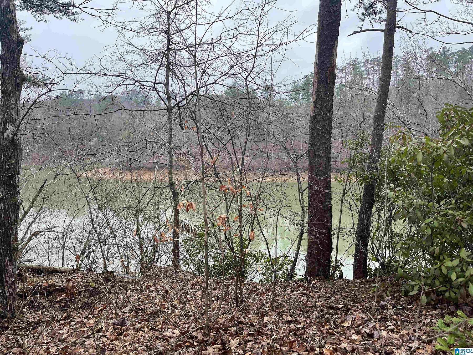 1 Acre of Residential Land for Sale in Jasper, Alabama