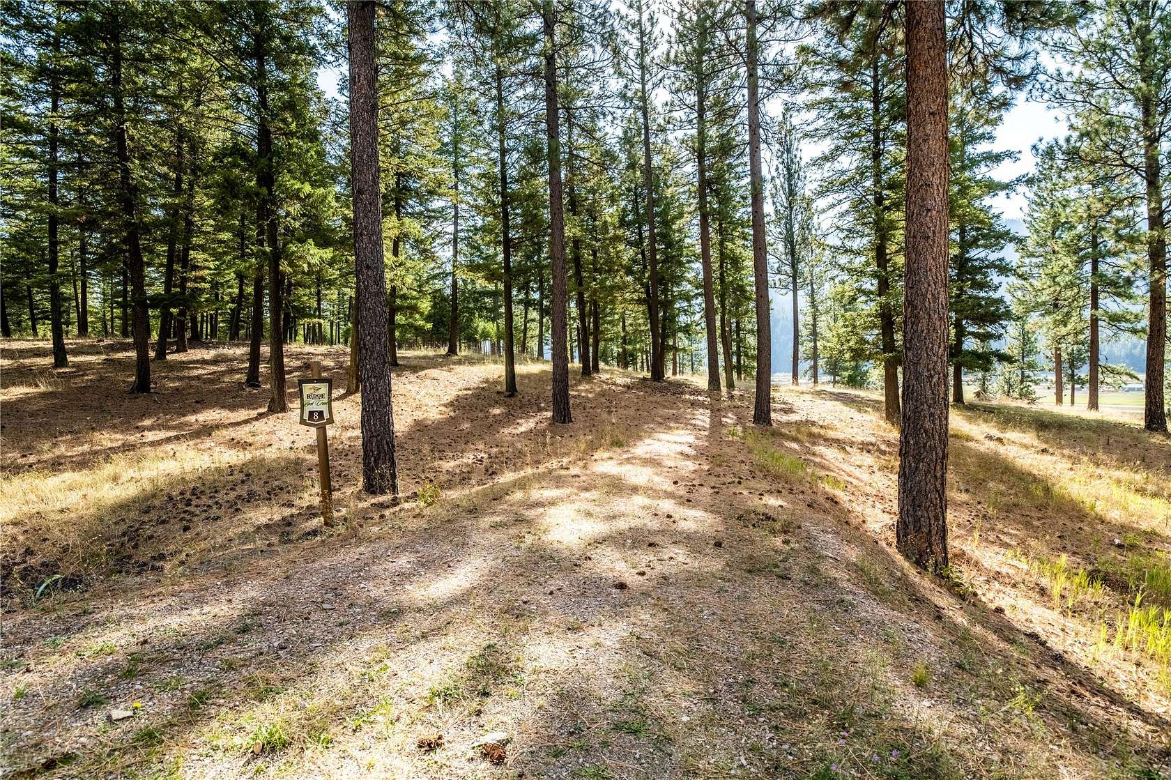 1 Acres of Residential Land for Sale in Clinton, Montana