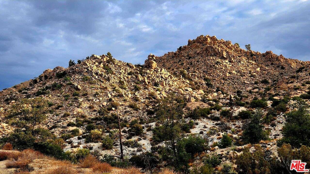 20 Acres of Land for Sale in Yucca Valley, California
