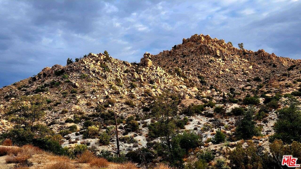 20 Acres of Land for Sale in Yucca Valley, California