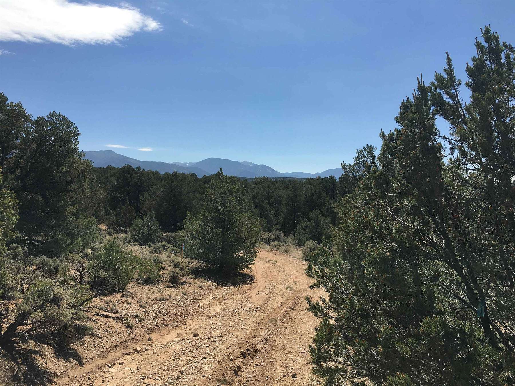 2.7 Acres of Land for Sale in Arroyo Hondo, New Mexico