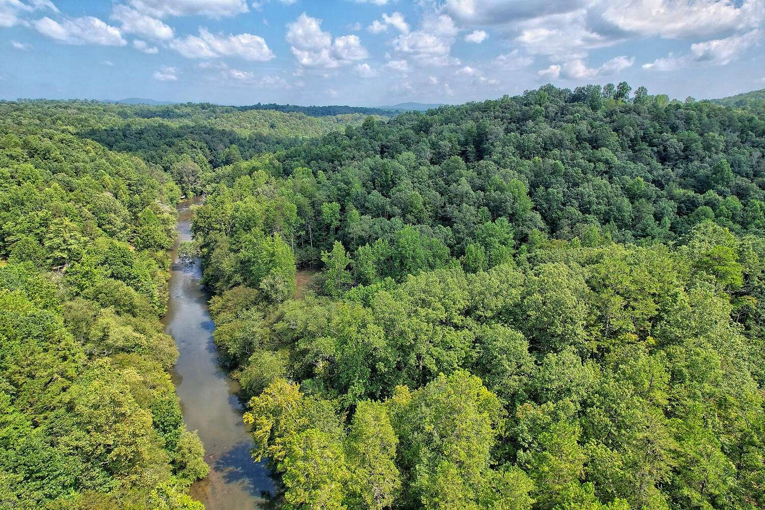 70.2 Acres of Agricultural Land for Sale in Demorest, Georgia