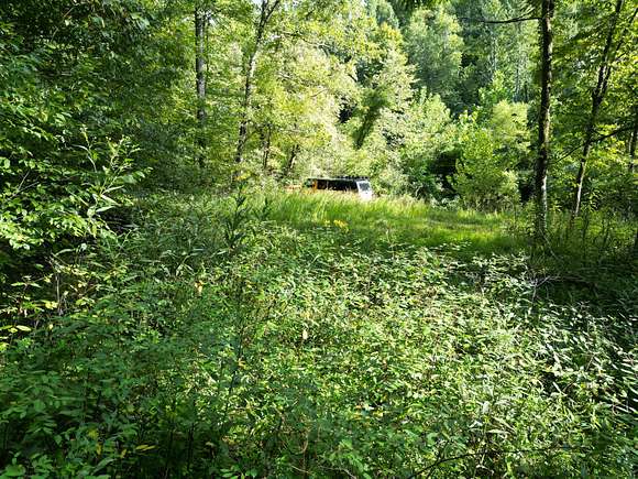 205 Acres of Recreational Land for Sale in Procious, West Virginia