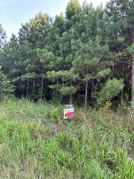 8 Acres of Commercial Land for Sale in Banks, Alabama