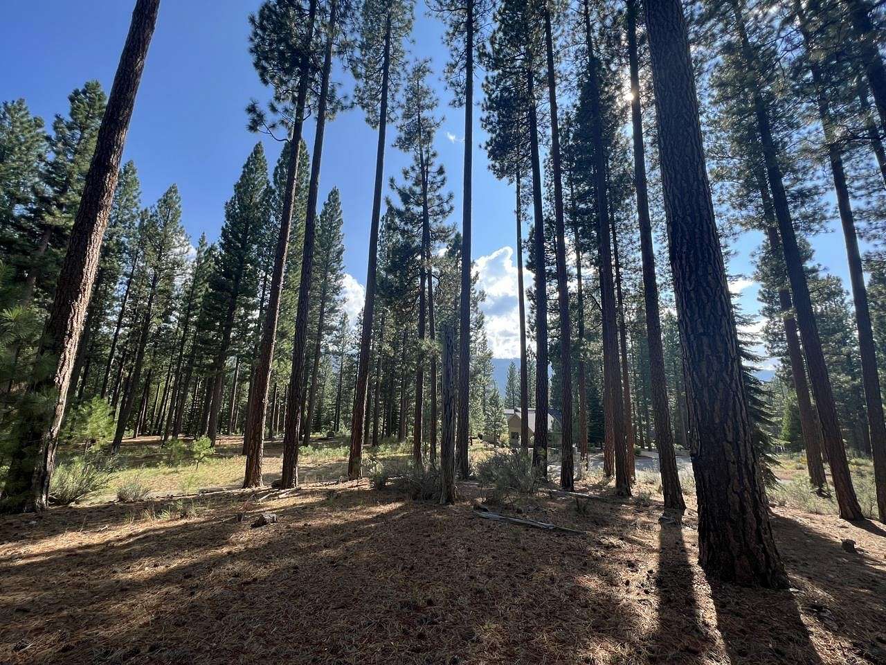 1 Acre of Residential Land for Sale in Clio, California