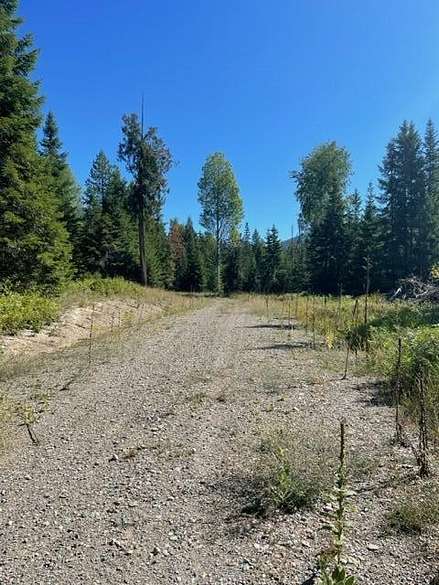 21.8 Acres of Recreational Land for Sale in Ione, Washington