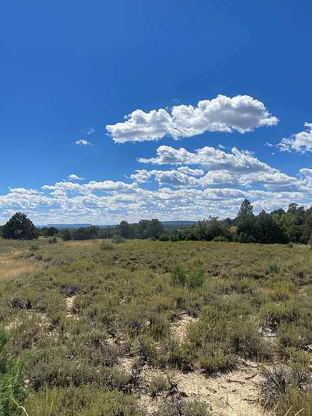 3.1 Acres of Land for Sale in Chama, New Mexico