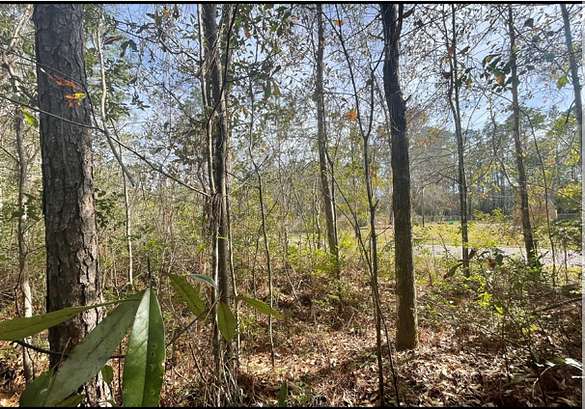0.74 Acres of Residential Land for Sale in Gautier, Mississippi