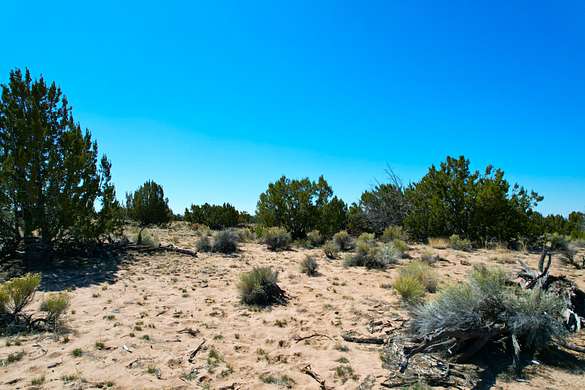 37.3 Acres of Recreational Land & Farm for Sale in St. Johns, Arizona