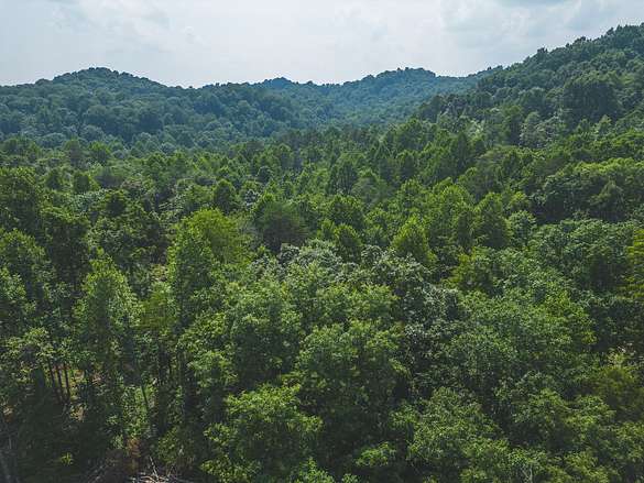 118 Acres of Recreational Land & Farm for Sale in Church Hill, Tennessee