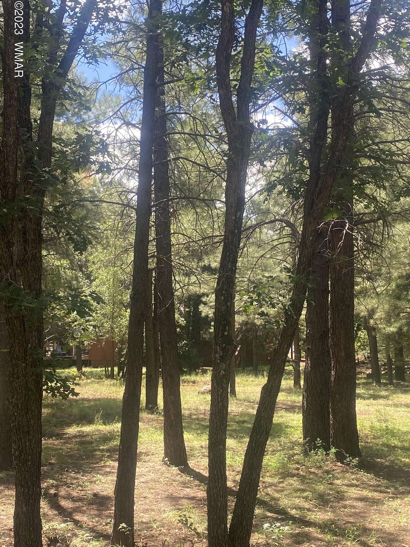 0.28 Acres of Residential Land for Sale in Pinetop, Arizona
