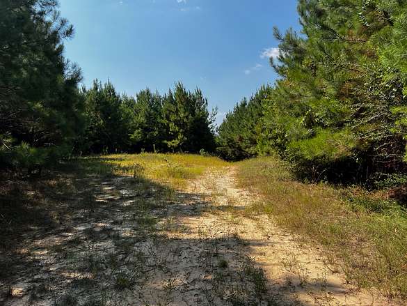 317 Acres of Recreational Land & Farm for Sale in Stonewall, Mississippi
