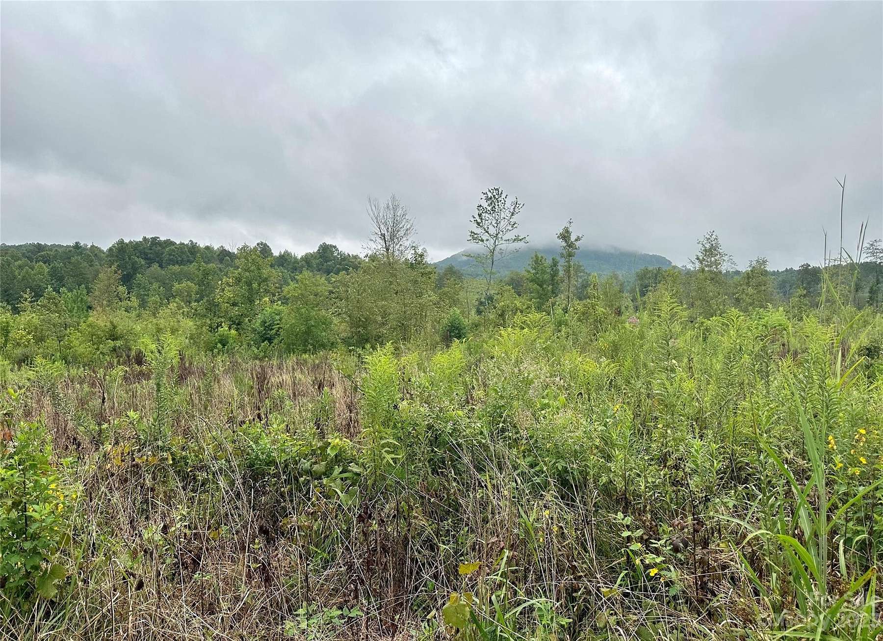 51.9 Acres of Land for Sale in Nebo, North Carolina