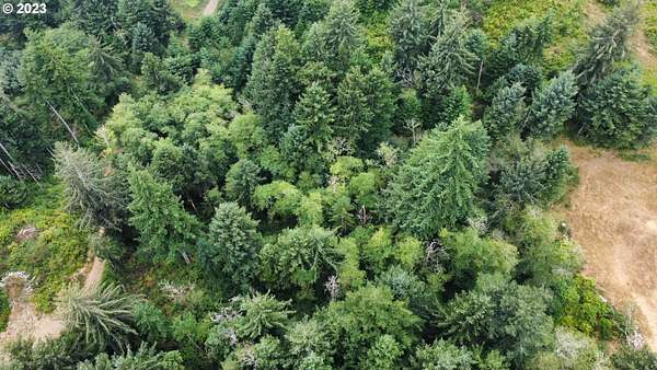 4.18 Acres of Residential Land for Sale in Florence, Oregon