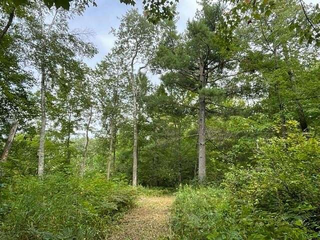 6.1 Acres of Residential Land for Sale in Rice Lake, Wisconsin