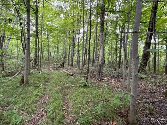 7.1 Acres of Residential Land for Sale in Rice Lake, Wisconsin