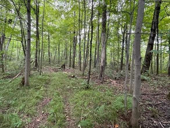7.09 Acres of Residential Land for Sale in Rice Lake, Wisconsin