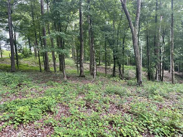 0.85 Acres of Land for Sale in Calhoun, Tennessee