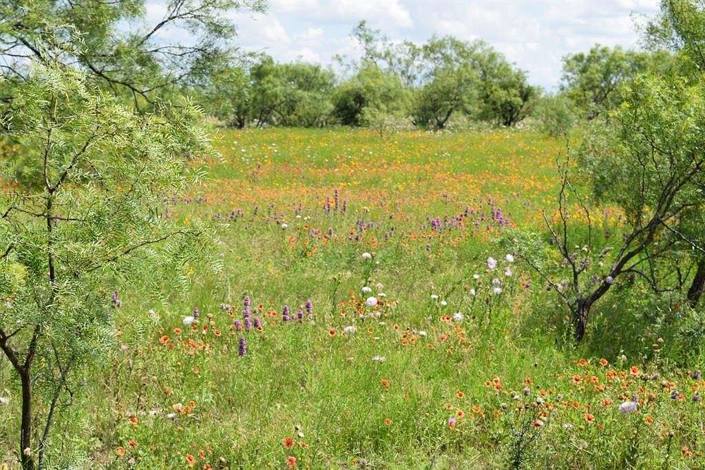 340 Acres of Land for Sale in Bangs, Texas