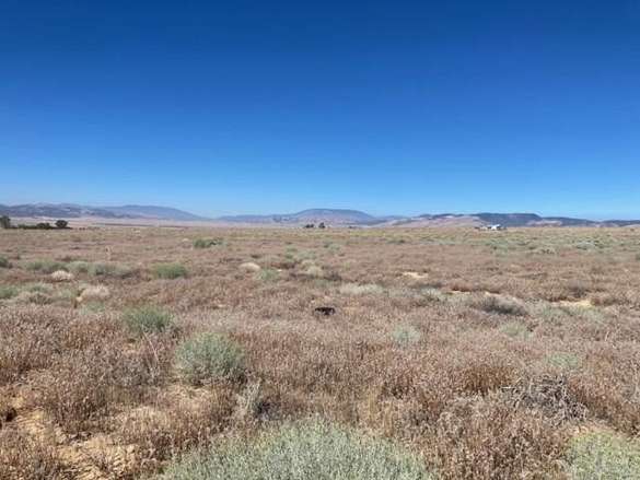 Land for Sale in Rosamond, California