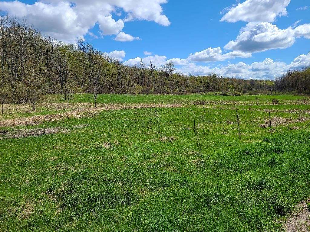 42 Acres of Land for Sale in Gouverneur, New York