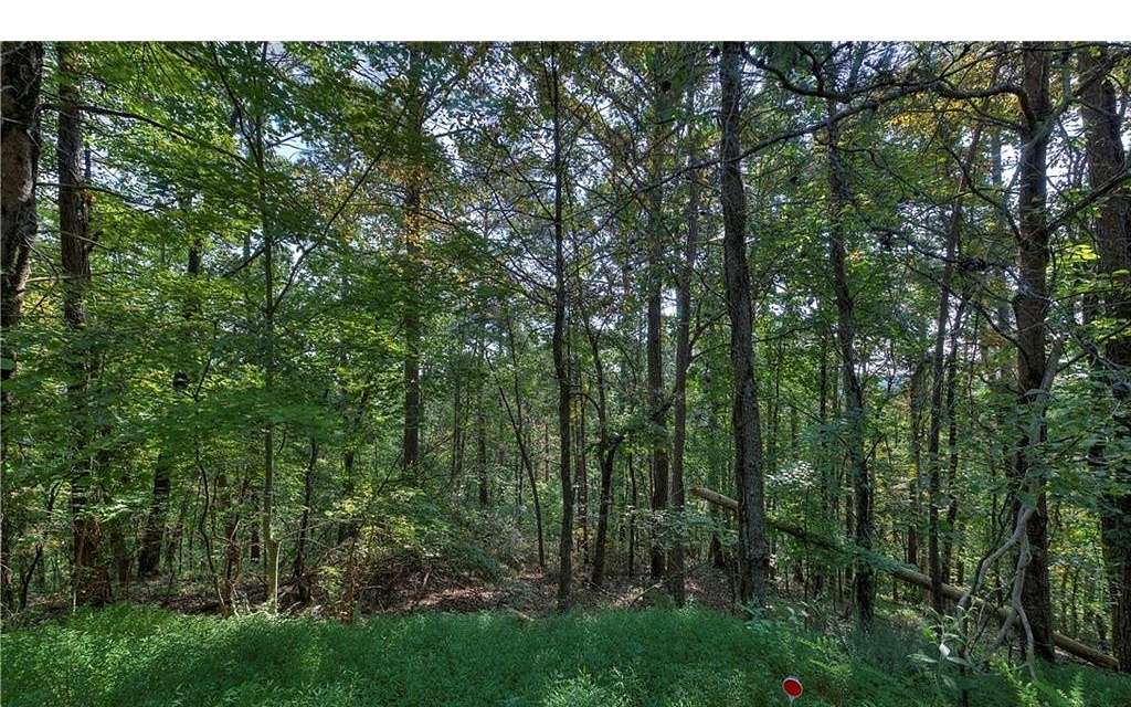 1.3 Acres of Residential Land for Sale in Ranger, Georgia
