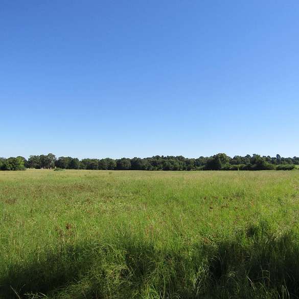 22.2 Acres of Recreational Land for Sale in Hugo, Oklahoma