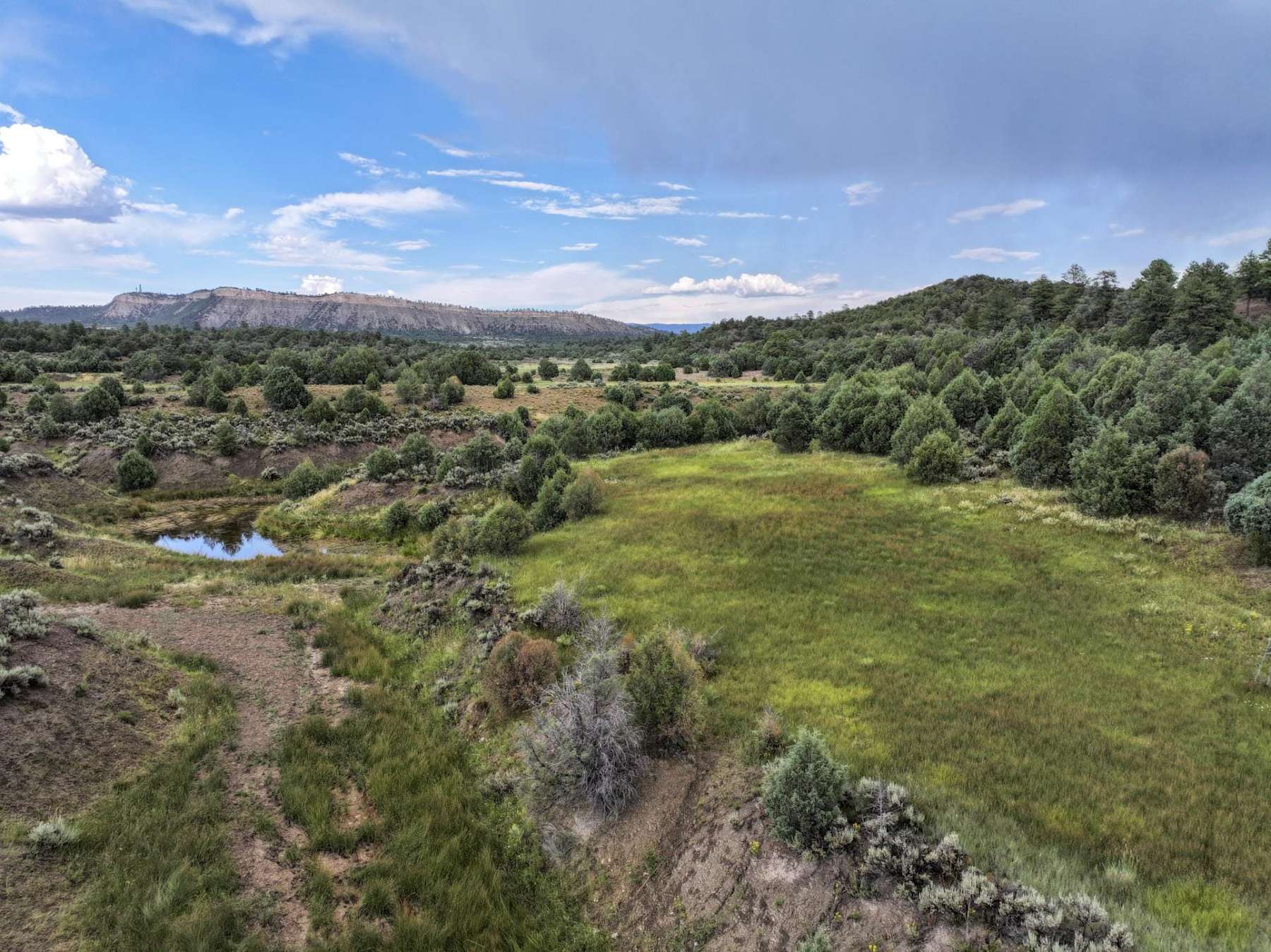 3,114 Acres of Improved Land for Sale in Tierra Amarilla, New Mexico